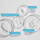 CeraVe 2 In 1 Hydrating Anti Dandruff Shampoo And Conditioner