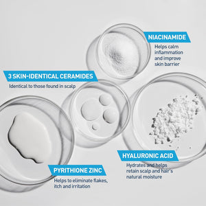 CeraVe 2 In 1 Hydrating Anti Dandruff Shampoo And Conditioner